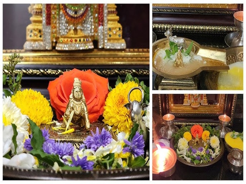 krishna janmashtami fasting rules