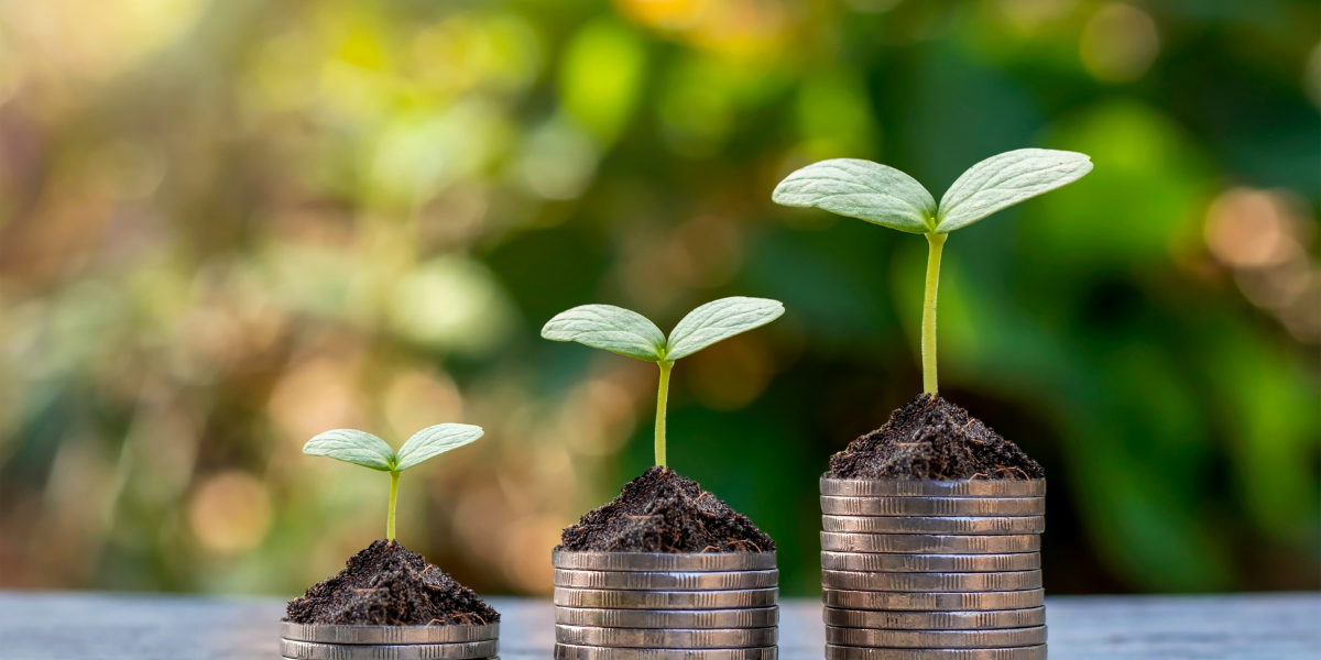 Astrology for Career Growth